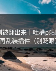 内部规则被翻出来｜吐槽p站助手｜别再乱装插件（别眨眼）