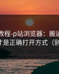 收藏级教程-p站浏览器：搬运工是什么？这才是正确打开方式（别被套路）