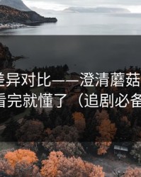 剪辑版差异对比——澄清蘑菇短剧——看完就懂了（追剧必备）