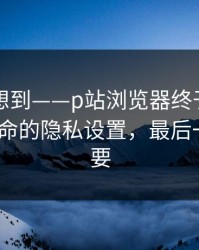 我真没想到——p站浏览器终于能用了｜最致命的隐私设置，最后一段很重要