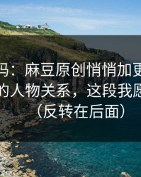 你敢信吗：麻豆原创悄悄加更：最容易错过的人物关系，这段我愿称神作（反转在后面）