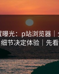 隐藏设置曝光：p站浏览器｜全称是什么？细节决定体验｜先看风险