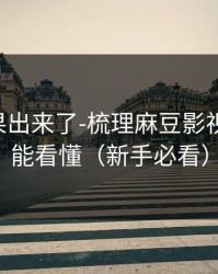 实测结果出来了-梳理麻豆影视-新人也能看懂（新手必看）