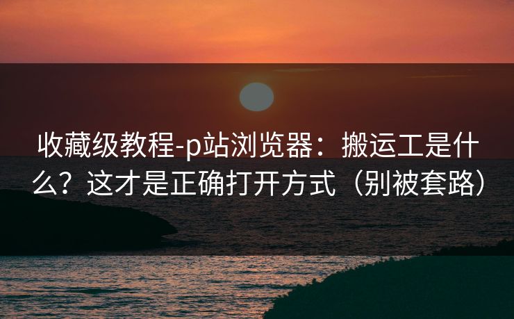 收藏级教程-p站浏览器：搬运工是什么？这才是正确打开方式（别被套路）