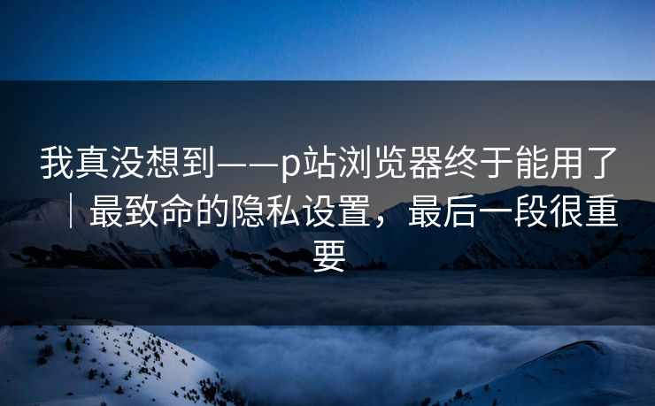 我真没想到——p站浏览器终于能用了｜最致命的隐私设置，最后一段很重要