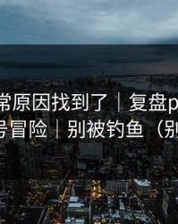 账号异常原因找到了｜复盘p站全称-别拿账号冒险｜别被钓鱼（别被套路）