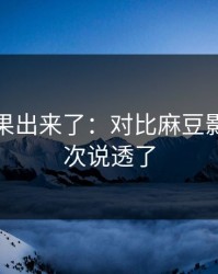 实测结果出来了：对比麻豆影视｜这次说透了