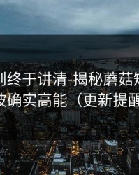 这条规则终于讲清-揭秘蘑菇短剧｜这波确实高能（更新提醒）