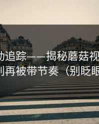 推荐变动追踪——揭秘蘑菇视频社区｜别再被带节奏（别眨眼）