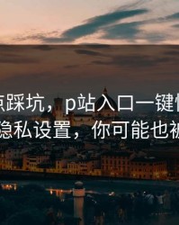 今晚差点踩坑，p站入口一键恢复，最安全的隐私设置，你可能也被误导了