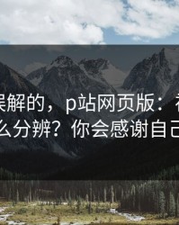 一直被误解的，p站网页版：视频页怎么分辨？你会感谢自己