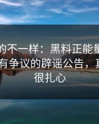 这次真的不一样：黑料正能量往期反转了-最有争议的辟谣公告，真相可能很扎心