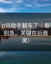 说真的｜p站助手翻车了｜最稳妥的官网说明，别急，关键在后面（不吹不黑）