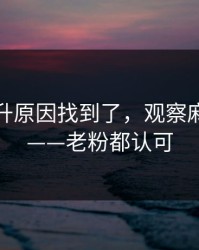 数据飙升原因找到了，观察麻豆影视——老粉都认可