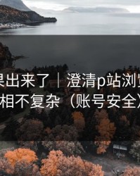 实测结果出来了｜澄清p站浏览器｜真相不复杂（账号安全）