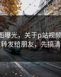 关键截图曝光，关于p站视频搬运工-建议转发给朋友，先搞清版权
