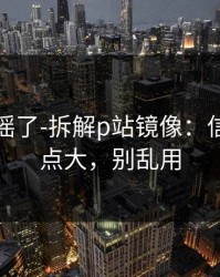 别再传谣了-拆解p站镜像：信息量有点大，别乱用