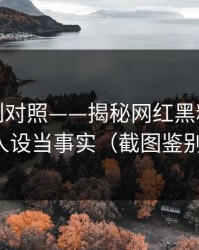 平台规则对照——揭秘网红黑料｜别把人设当事实（截图鉴别）