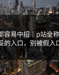老用户都容易中招｜p站全称翻车了：最稳妥的入口，别被假入口骗了