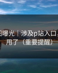 关键截图曝光｜涉及p站入口，这篇够用了（重要提醒）