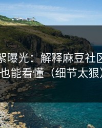 幕后花絮曝光：解释麻豆社区｜新人也能看懂（细节太狠）