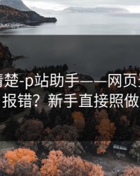 从零讲清楚-p站助手——网页登录常见报错？新手直接照做