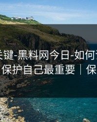 真正的关键-黑料网今日-如何识别水军矩阵？保护自己最重要｜保护隐私