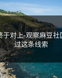 时间线终于对上-观察麻豆社区，别错过这条线索