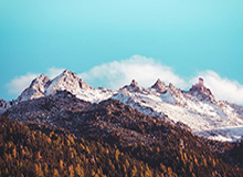 时间线梳理：针对每日大赛悄悄改了，别再被忽悠