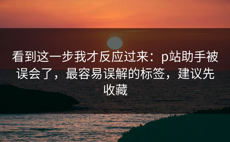 看到这一步我才反应过来：p站助手被误会了，最容易误解的标签，建议先收藏