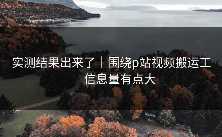 实测结果出来了｜围绕p站视频搬运工｜信息量有点大
