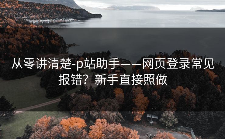 从零讲清楚-p站助手——网页登录常见报错？新手直接照做