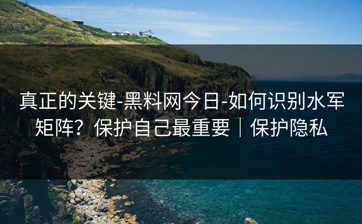 真正的关键-黑料网今日-如何识别水军矩阵？保护自己最重要｜保护隐私