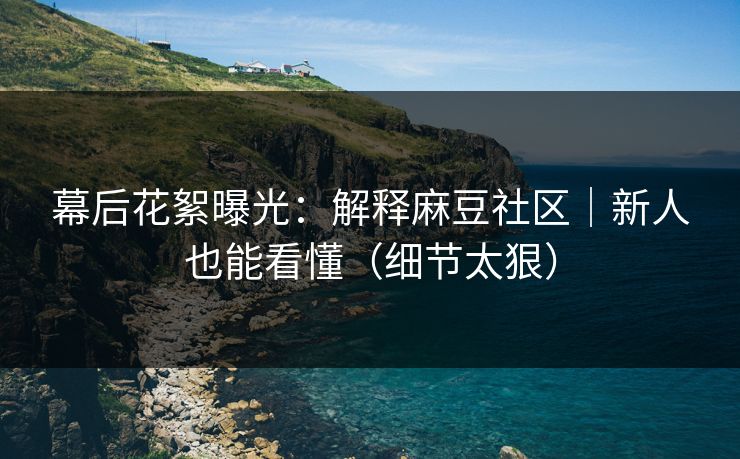 幕后花絮曝光：解释麻豆社区｜新人也能看懂（细节太狠）