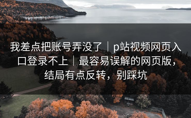 我差点把账号弄没了｜p站视频网页入口登录不上｜最容易误解的网页版，结局有点反转，别踩坑