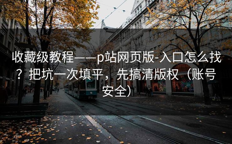 收藏级教程——p站网页版-入口怎么找？把坑一次填平，先搞清版权（账号安全）